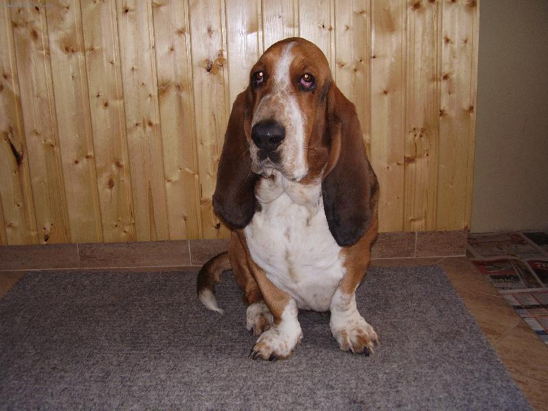 Foto: Sally-koukám, koukám .....