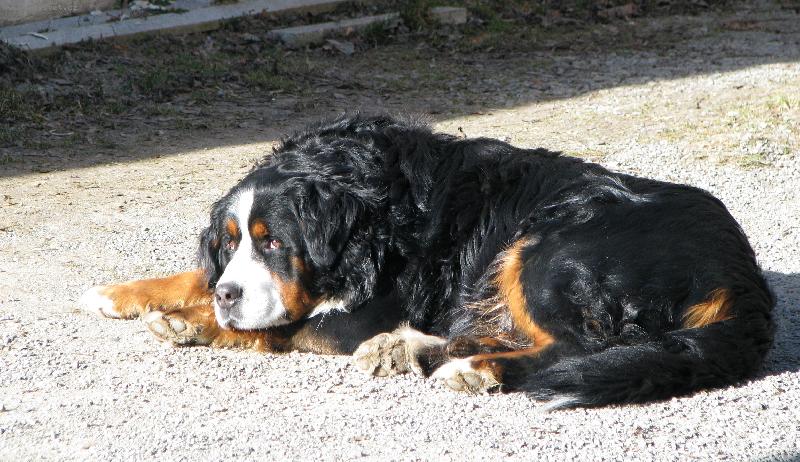 Foto: Jim z Akátové aleje