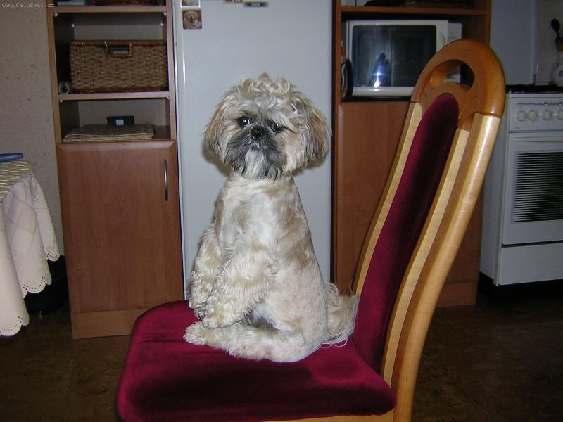 Foto: Tedy čekající na jidlo