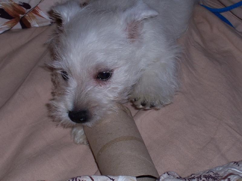 Foto: to jsem já,když jsem byl malý