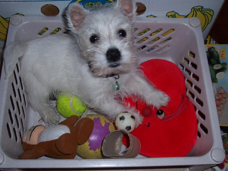 Foto: to jsem já,když jsem byl malý