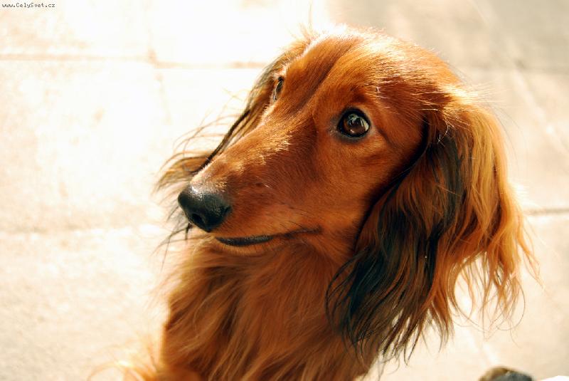 Foto: superksichtik-fakt bych si dal neco dobrehoooo