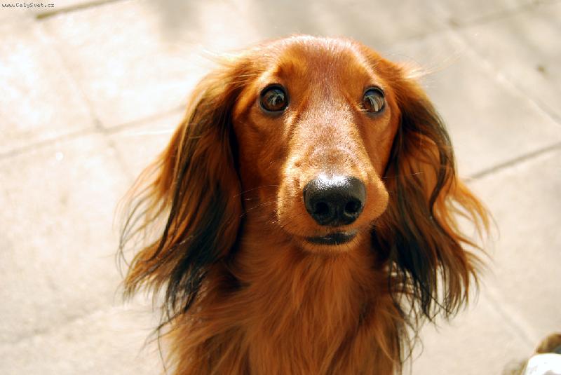 Foto: superksichtik1-ale vazne bych si dal neco dobreeeho