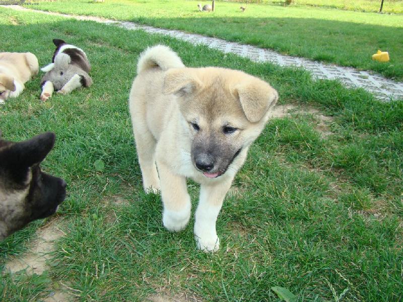 Foto: Archi-jsem ještě mimi