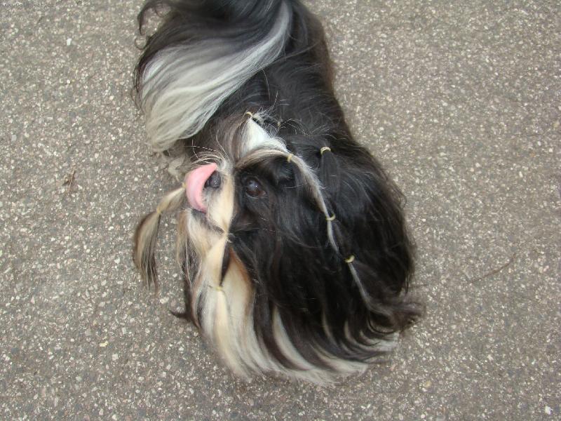 Foto: Mńam, to byla dobrůtka