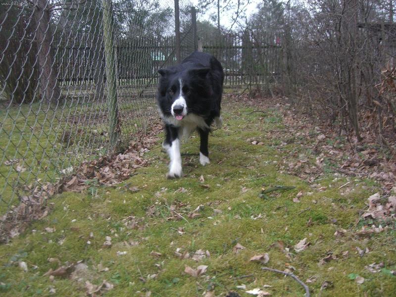 Foto: Blázínek :)-www.boc-andy.wbs.cz