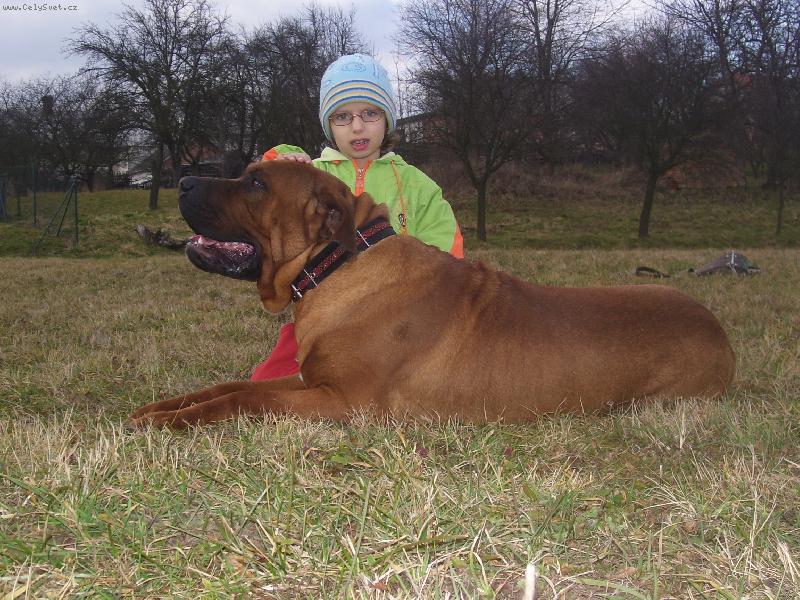 Foto: Jch, Atsuko of Malizi Doghouse-Atsuko a Bára