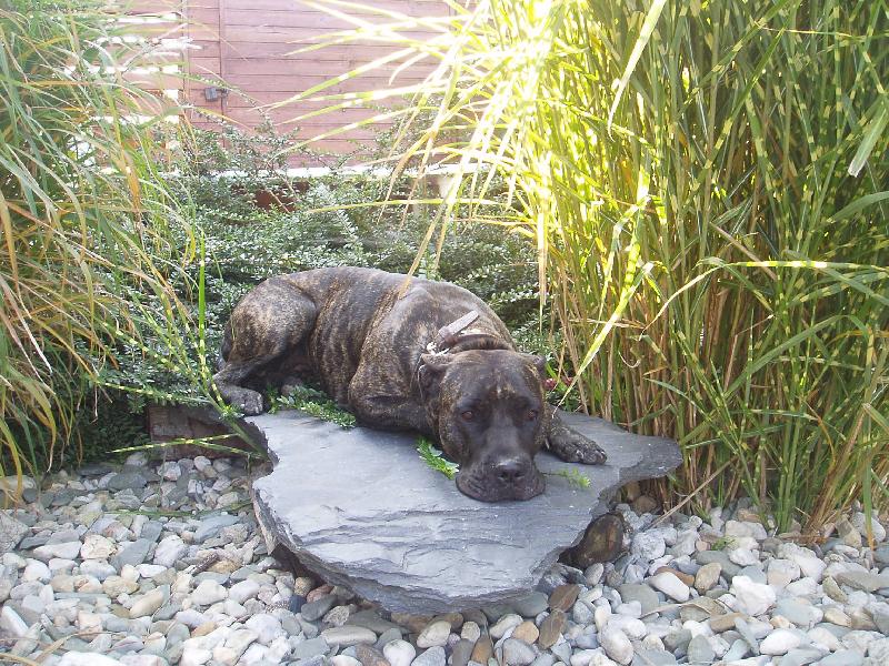 Foto: Bella-20měsíců