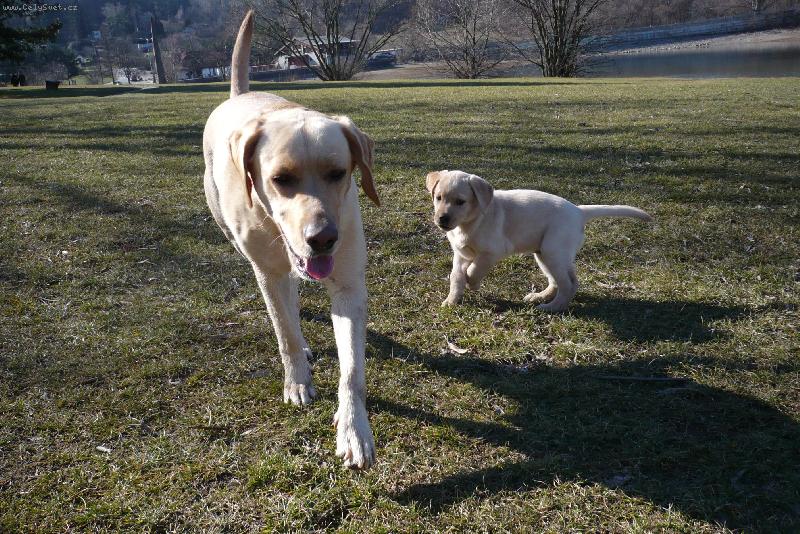 Foto: Bára a její holka-na brněnské přehradě