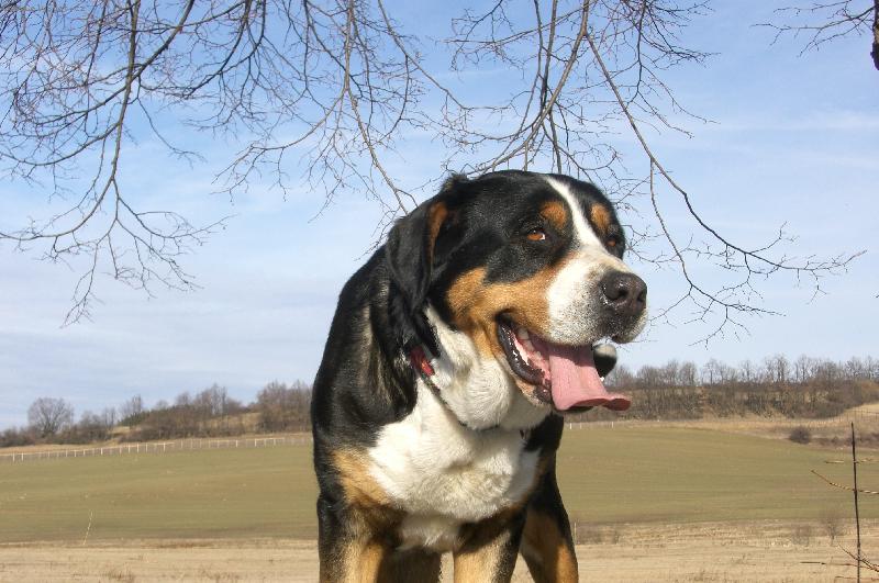 Foto: www.salasnicky.cz-Od Hvízdaláku