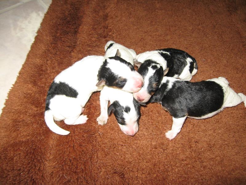 Foto: narodili jsme se a máme 4 - 8 hodin