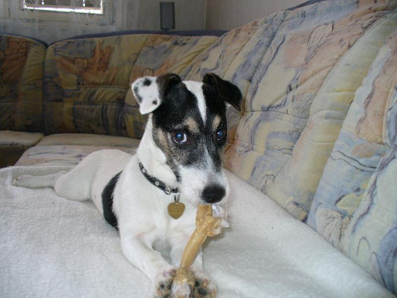 Foto: Jack-už mám 5 měsíců