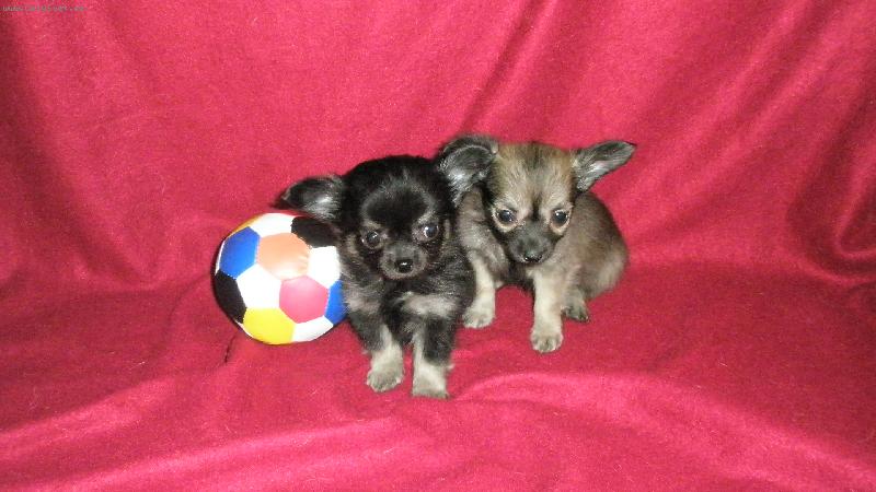 Foto: Kačenky miminko