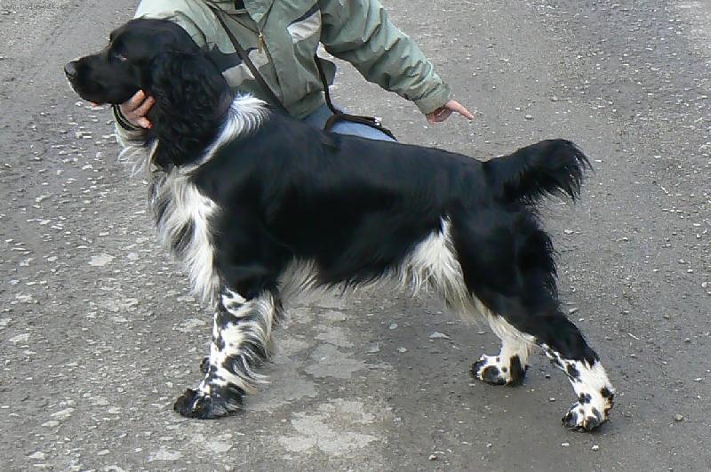 Foto: Benjamin od Kamenné báby