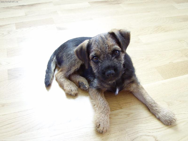 Foto: Vanesa z Ostašova