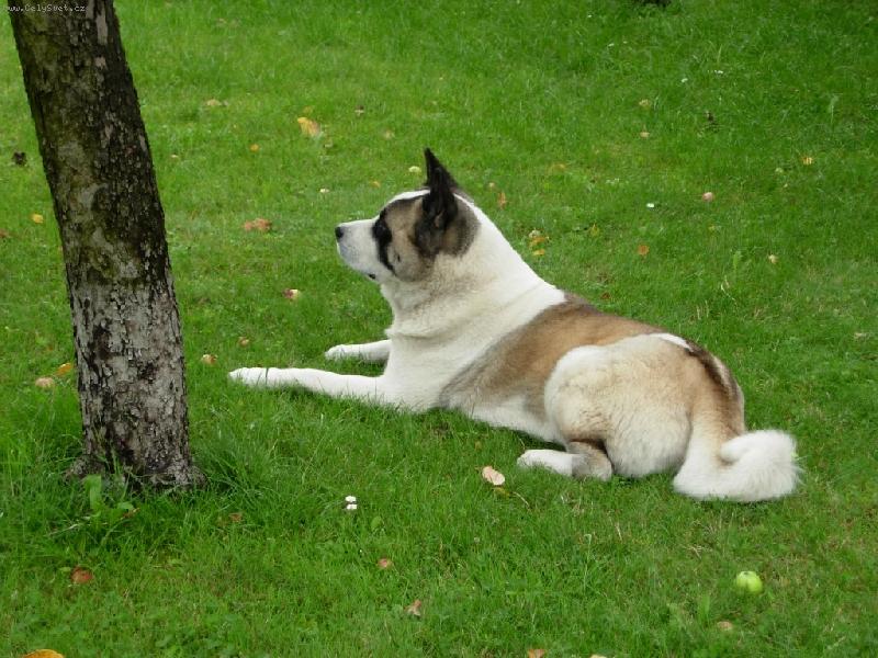 Foto: ARPO-Rád odpočívám