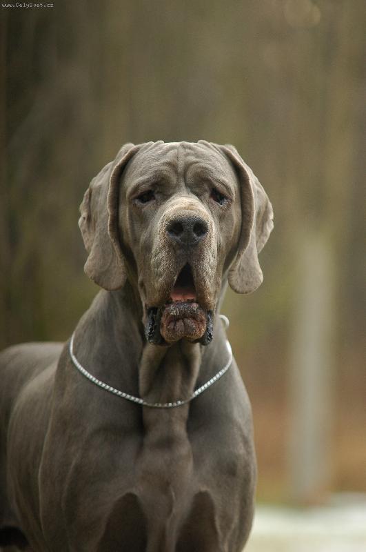 Foto: Janeček...-kukuč