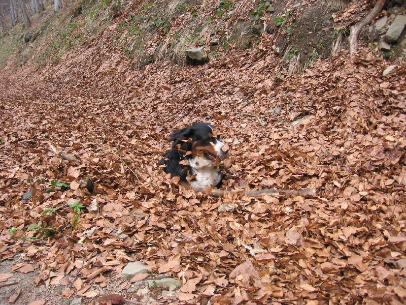 Foto: JESSIE Z HODOLAN-Hra v lupení