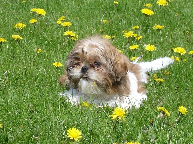 Foto: Bublinka-Na výletě