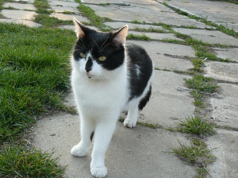 Foto: Jarní procházka