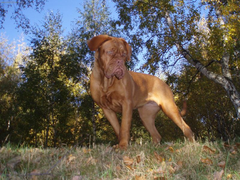 Foto: Carin od Gab�i