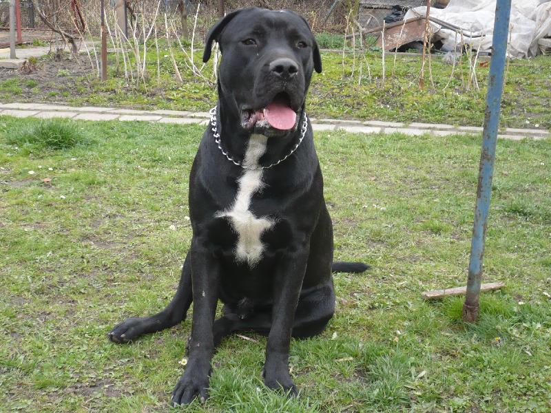 Foto: Ares Natalis-11.měsíců