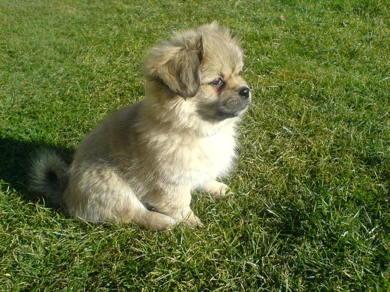 Foto: už mě fotíš?