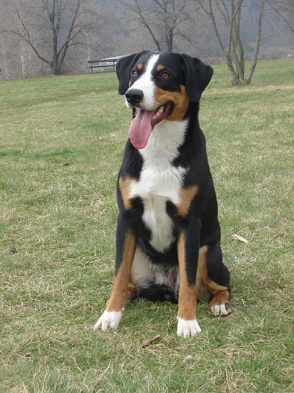 Foto: Abora z Velkého Újezda-alias Bonny
