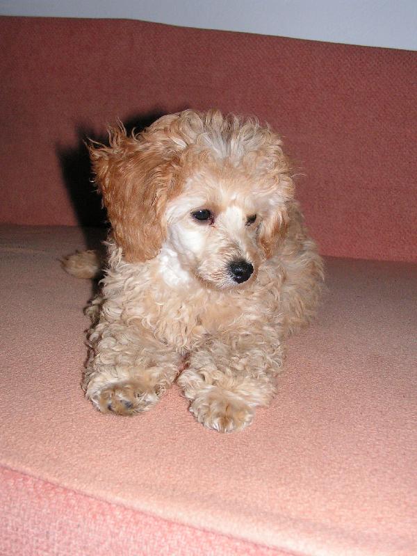 Foto: Ronny-Náš miláček.