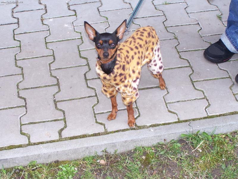 Foto: Naše slečinka