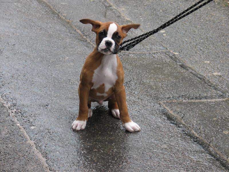 Foto: Arty venku-fučí jak  hrom :-)