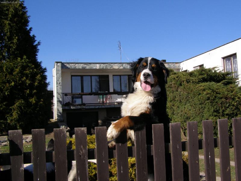 Foto: čekání na paničku