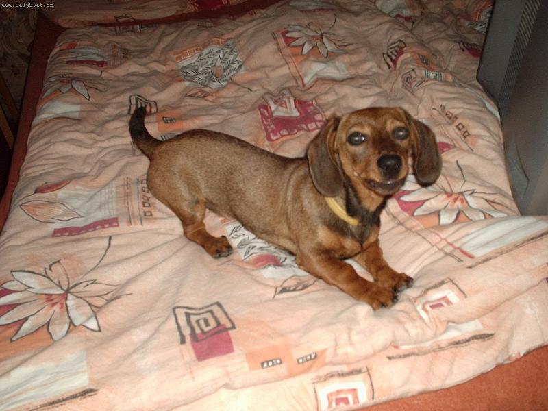 Foto: Zuzanka 4 měsíce