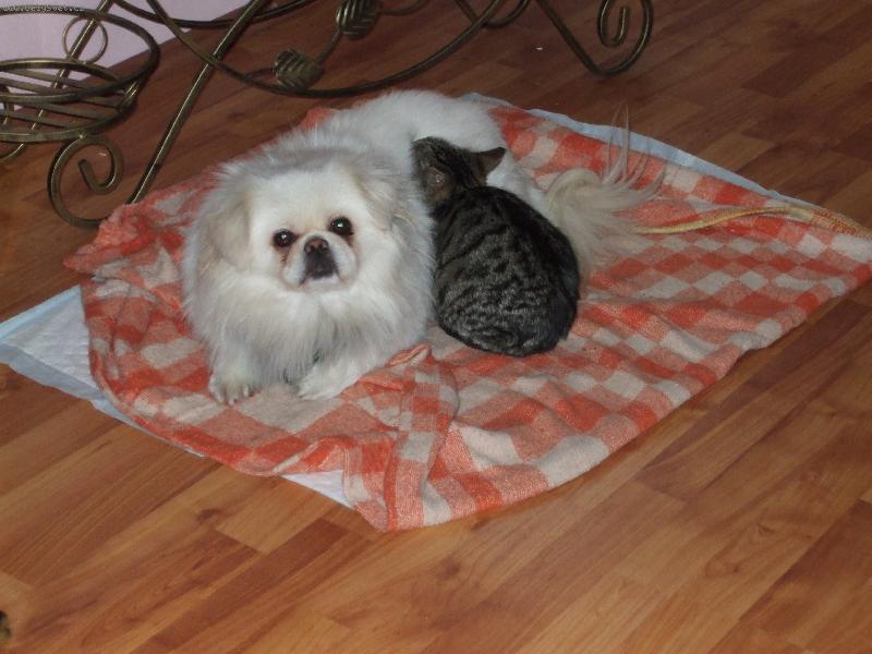 Foto: Tak to som ja Ady-Naš maznáčik si zase lebedí