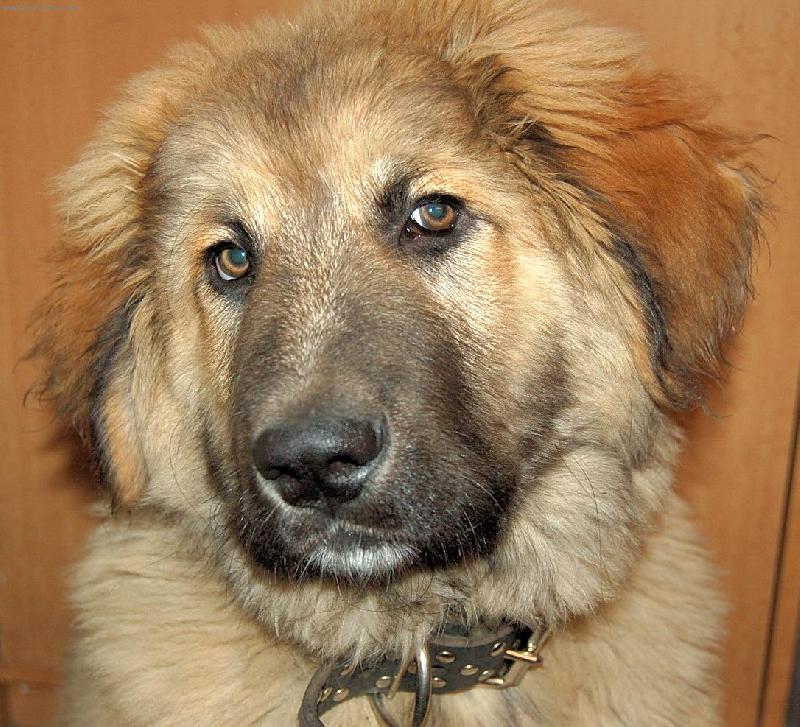 Foto: archí-3 měsíce