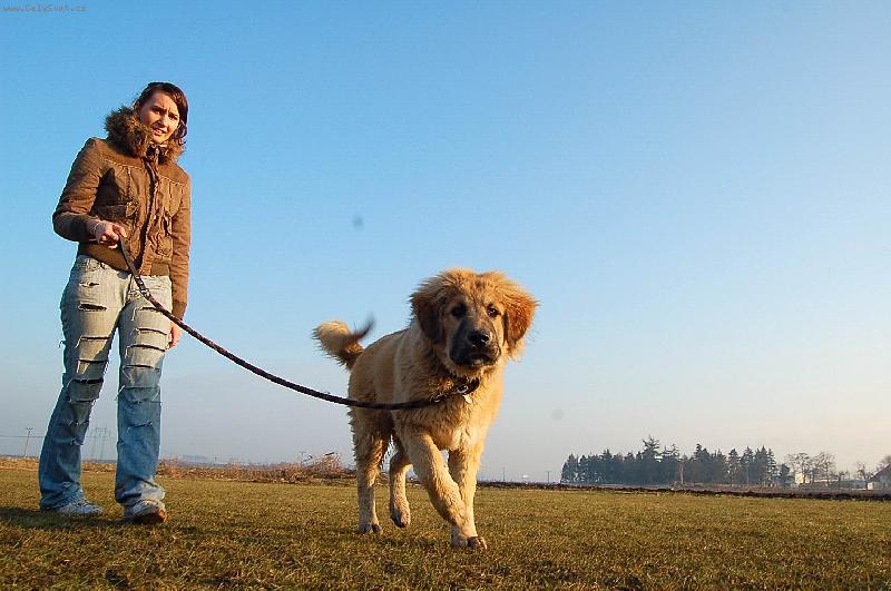 Foto: archí-5 měsíců