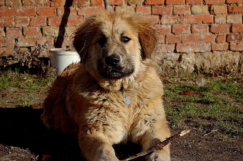 Foto: archí-6 měsíců