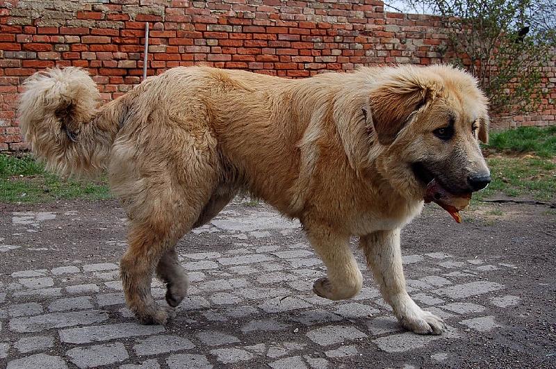 Foto: archí-7 měsíců