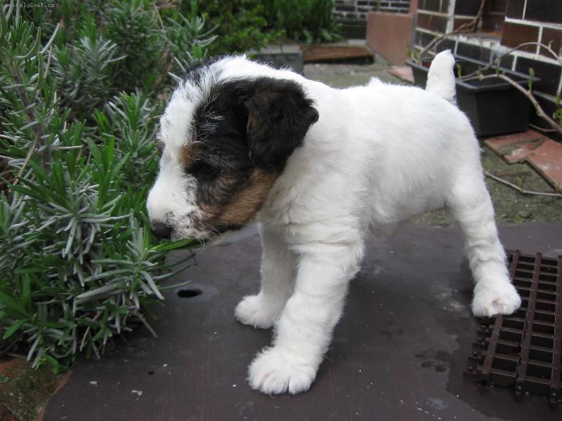 Foto: ...zase něco nového