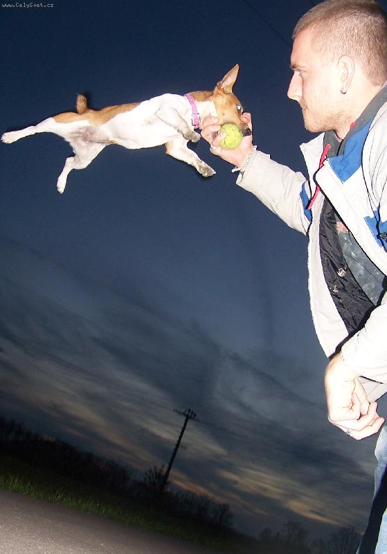 Foto: létající Amy