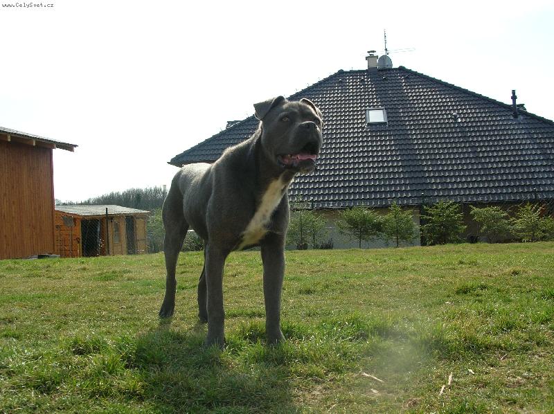 Foto: Joák má deset měsíců