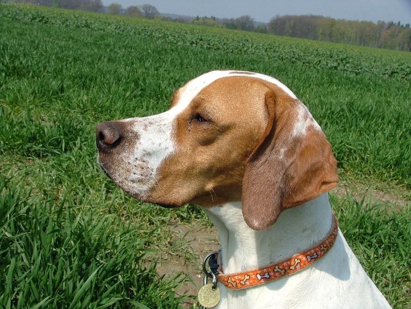 Foto: Debbie ze Štípek-Debbie ze Štípek