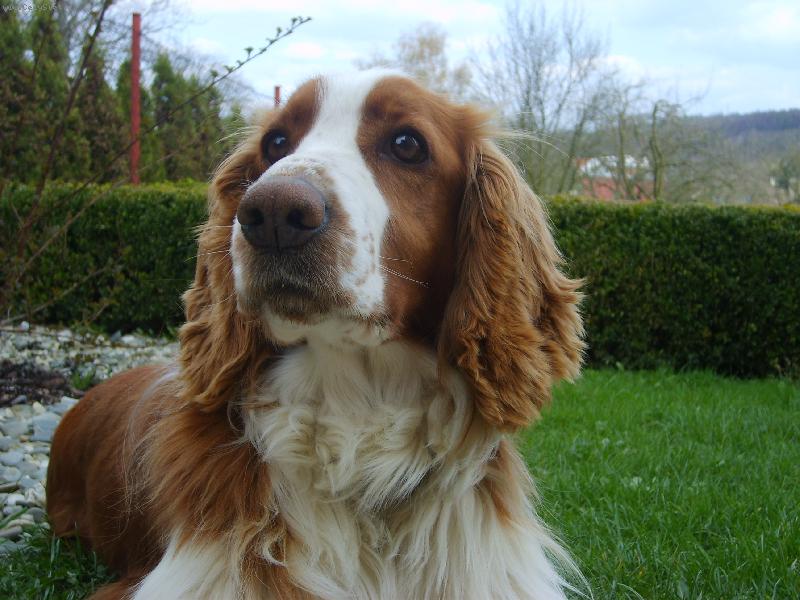 Foto:  Besinka-Naše Besinka