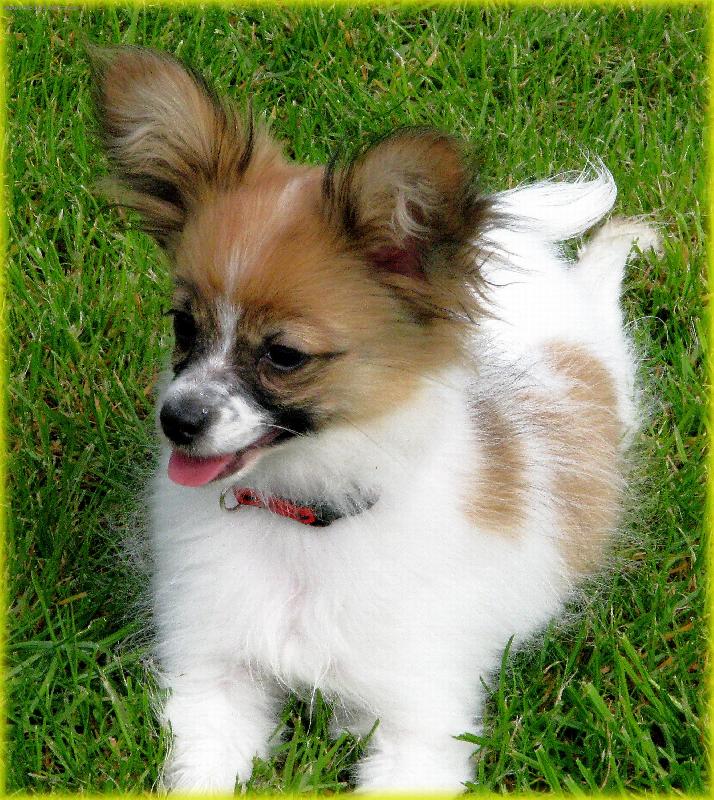 Foto: Barbie-koukněte na mně