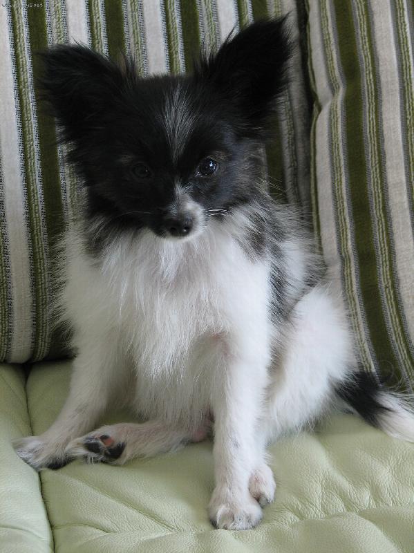 Foto: Bianca-koukněte na mně