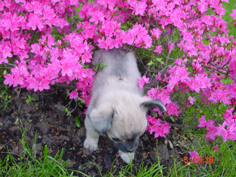 Foto: jak se odsuď dostanu?