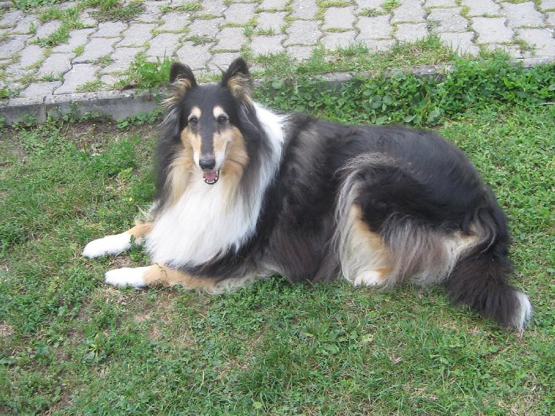 Foto: Anita Black Modrý Iris-Anitka