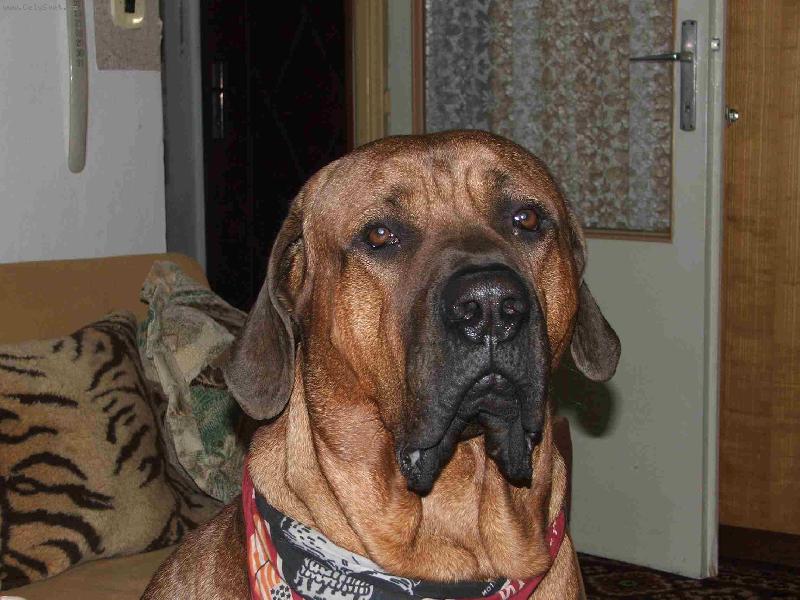 Foto: To jsem já Rubby