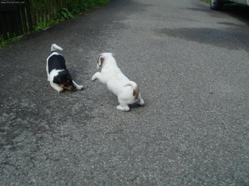 Foto: Hra na babu-Jen počkej až tě chytím,já ti dám mi utíkat!!!