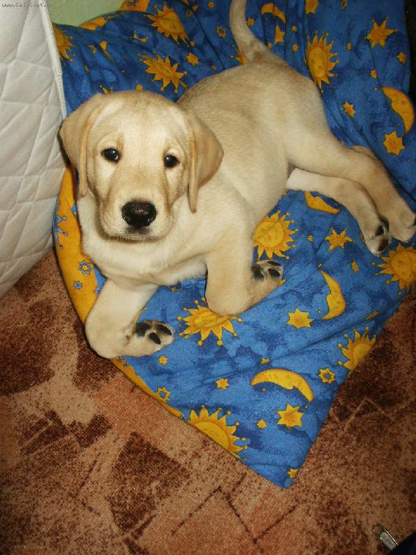 Foto: Zase fotíš?-:)